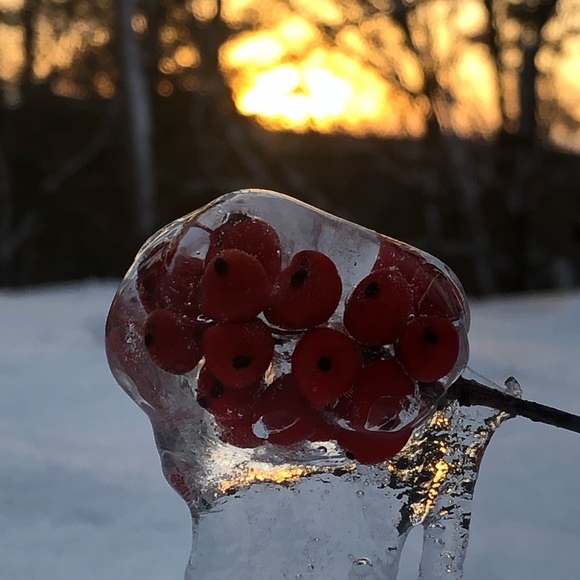 Meet your Posher, Megan - Picture 7 of 7